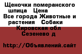 Щеночки померанского шпица › Цена ­ 25 000 - Все города Животные и растения » Собаки   . Кировская обл.,Сезенево д.